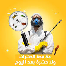 شركة راش مبيدات بالخبر